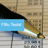FiBu Testat für Dynamis NAV 2015