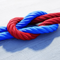 Modernes Finanzmanagement – Zahlungen per Webservice
